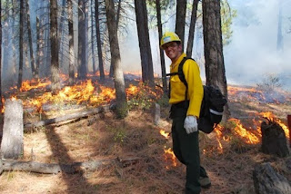  Fire management planning on Salish and Kootenai tribal lands in Montana. 