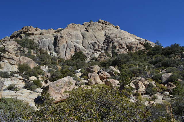 granite cliff face