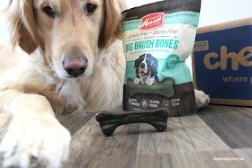 Merrick big brush bones for large dogs chewy.com review