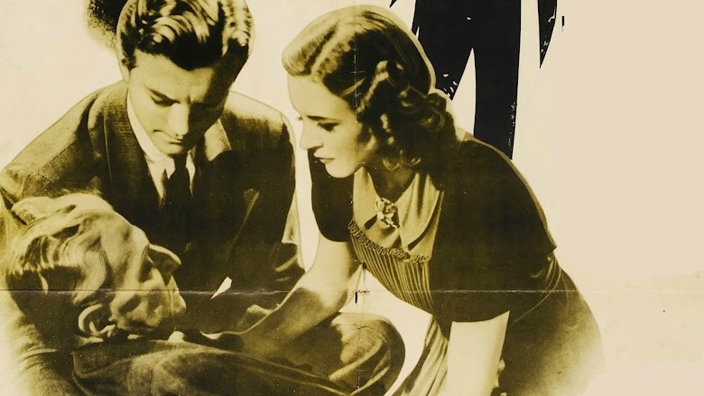 The Case of the Black Parrot 1941 pelicula castellano