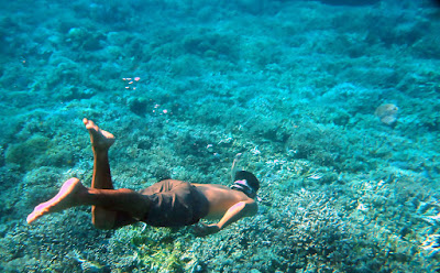 Diving Di Pantai Takat