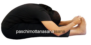 Paschimottanasana