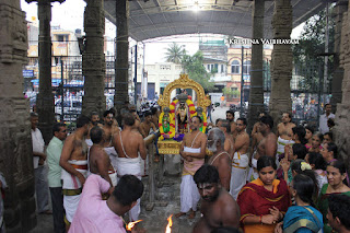 Karthigai,Kaisika,dwadasi, Sri Parthasarathy, Perumal, Purappadu,2016, Video, Divya Prabhandam,Triplicane,Thiruvallikeni,Utsavam,