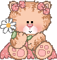 Cute colors - Gatos