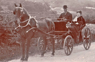 Mr & Mrs Edward Wolllacott in their dogcart
