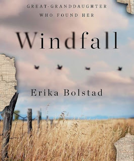 Cover of Windfall, by Erika Bolstad