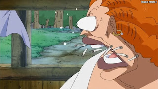 ワンピースアニメ 幼少期 493話 ダダン | ONE PIECE Episode 493