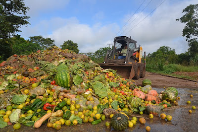 Con alimentos desperdiciados en Colombia se podrían alimentar a 4 millones de personas