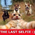 The Last SELFIE