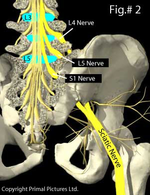 Yoga Gypsy: Therapeutic yoga stretches for sciatica (with photos!)