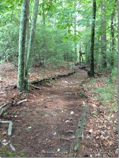 cabin 159