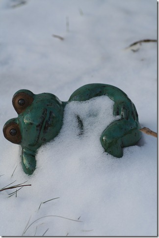 bloggebilder 031