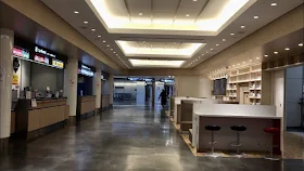 新型コロナウィルス 3月 成田空港