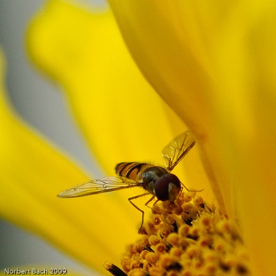 20090709-Donnerstag