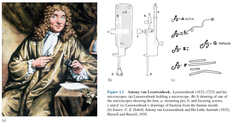 Antony van Leeuwenhoek