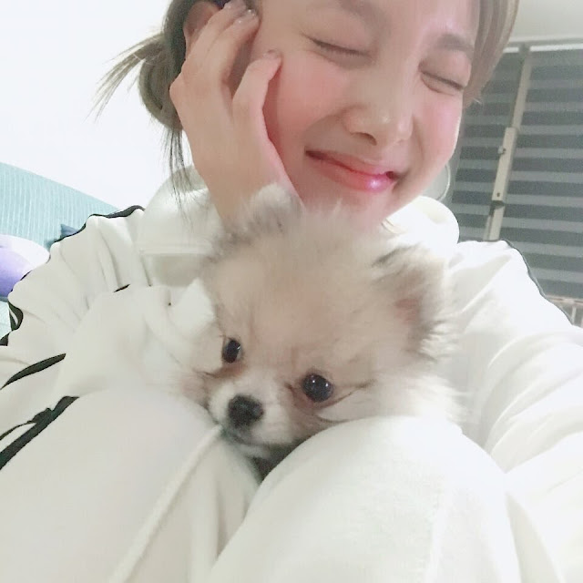 Twice Nayeon and Kookeu