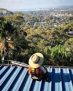 Cleaning Gutters In North Sydney