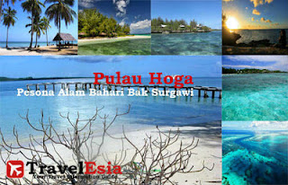 http://www.travelesia.co/2013/03/hoga-island-enchantment-marine-tourism.html