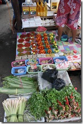 Papua and Bandung 050
