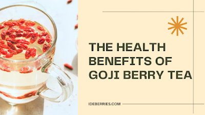 A Deep Dive into the Health Benefits of Goji Berry Tea