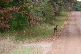 poetry on a country road