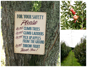 Apple Picking at Biplin Springs Orchard