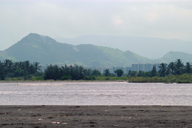 Arnala Shoreline, Mamachi Wadi