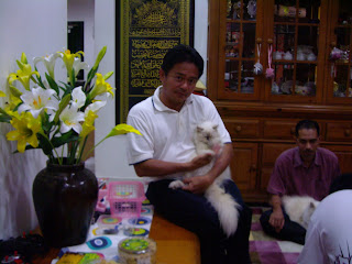 DUNIA KUCING-KUCING KAMI