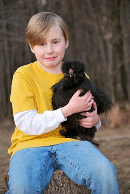 Black silkie, chickens are funny