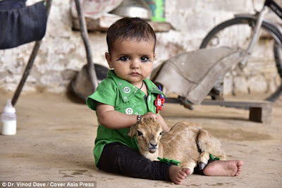 Meet The Indian Tribeswomen Who Breastfeed Deer Alongside Their Children. [SHOCKING PHOTOS] The Bishnoi mothers 4