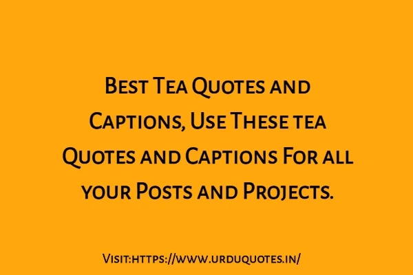 Best Tea Quotes and Captions 2024