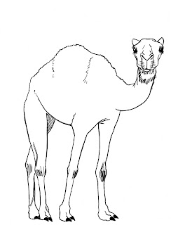 draw camel ink