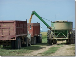 Combine 5