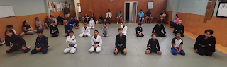 Auckland Kids BJJ