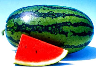 oval shape watermelon
