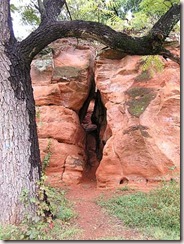 Red Rock Canyon1