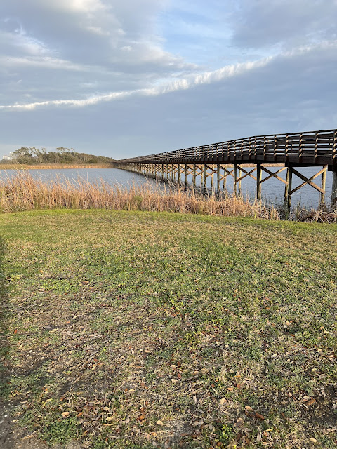 A boardwalk trail entices discovery at Gulf State Park.