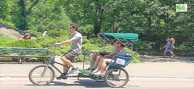 Central Park Pedicab guide at work