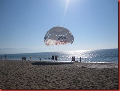IMG_6069 IMG_6069