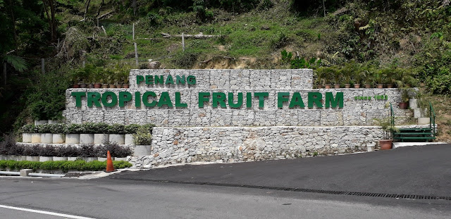 Tropical Fruit Farm