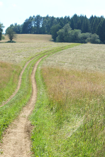 Rymanów Zdrój,zbożowe przyjemności,zbożowe snacki,Kupiec, zdrowa radość życia,www.kupiec.pl,www.zkuchnidokuchni.pl,najlepszy blog kulinarny,uzdrowisko rymanów zdroj,trasa fitness,Podkarpacie co zobaczyc,