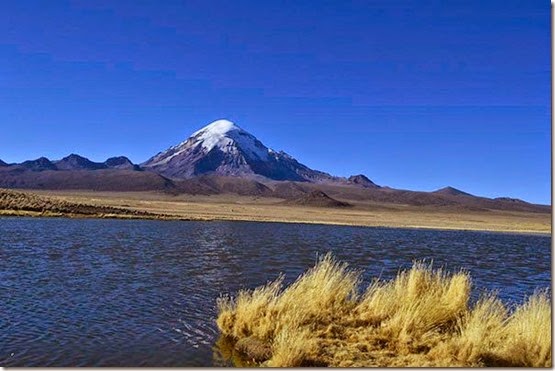 Isla de Parihuanas y paja brava del pueblo de Lagunas (Oruro)