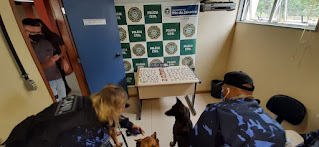 Cia de Operações com Cães da Guarda Civil de Teresópolis participa de ação policial em Duas Barras