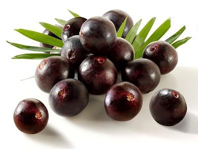 Buah Acai Berry