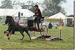216830_10151007730046372_400181055_n