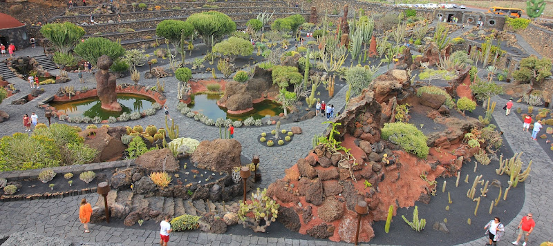 le jardin des cactus