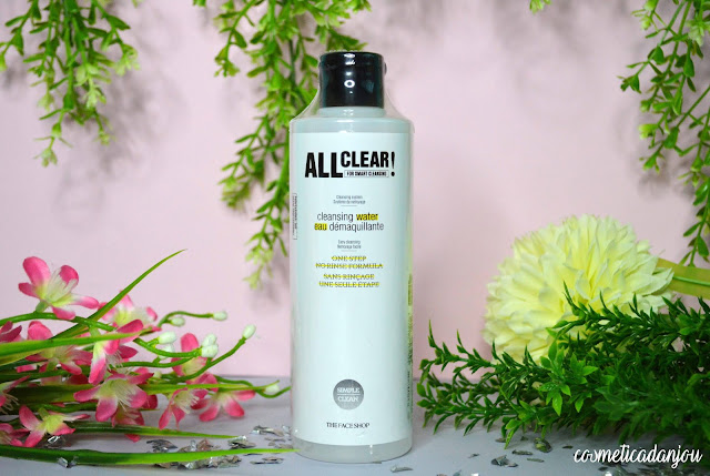 THE FACE SHOP All Clear Cleansing Water 250ml