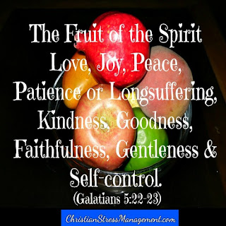 The fruit of the spirit is love, joy, peace, patience, kindness, goodness, faithfulness, gentleness and self control. Galatians 5:22-23