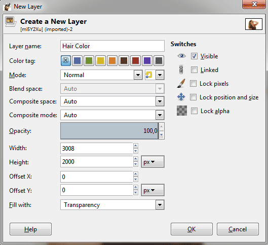 The New Layer dialog box.