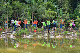 Mass tree planting at the Keppel Discovery Wetlands in the Learning Forest of Singapore Botanic Gardens on March 31, 2017.